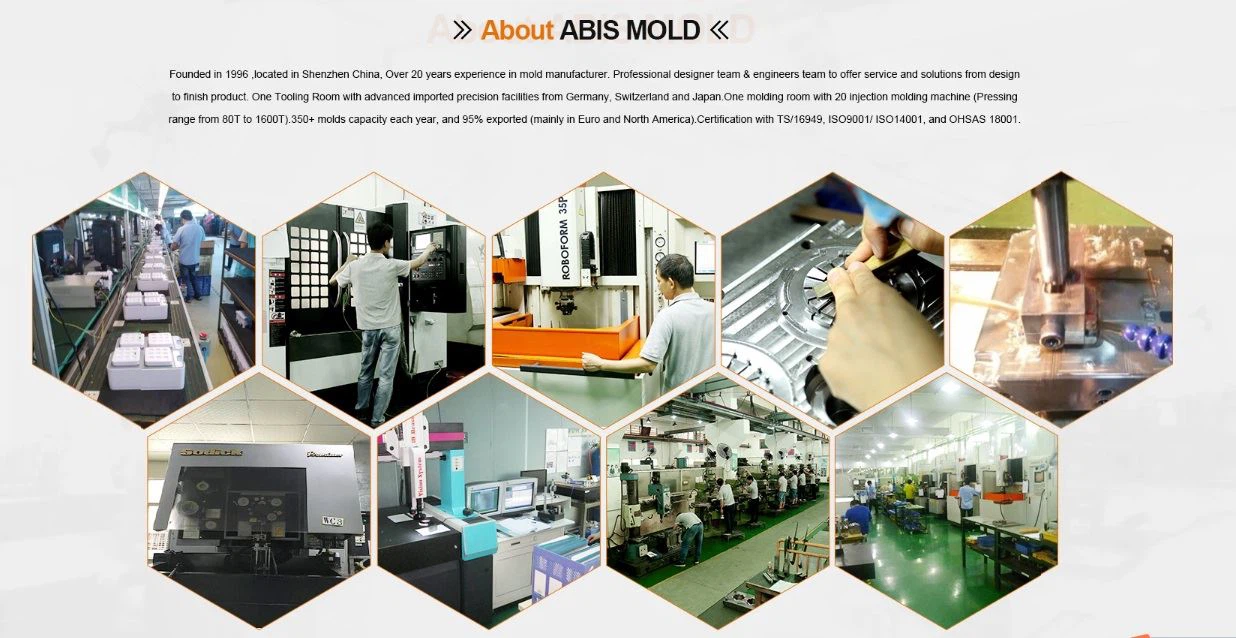 About ABIS mould