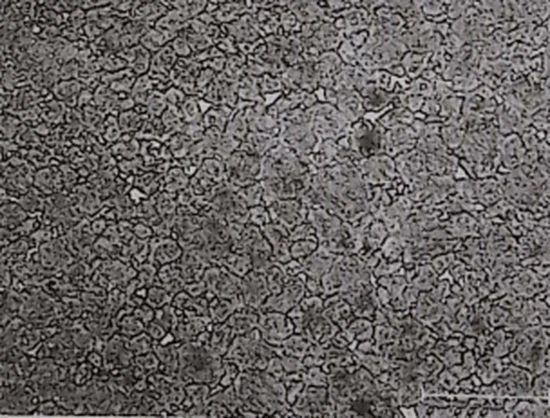 Figure 7.10 Typical sintered microstructure of M2 type mold steel Figure 7.10 Typical sintered microstructure of M2 type mold steel